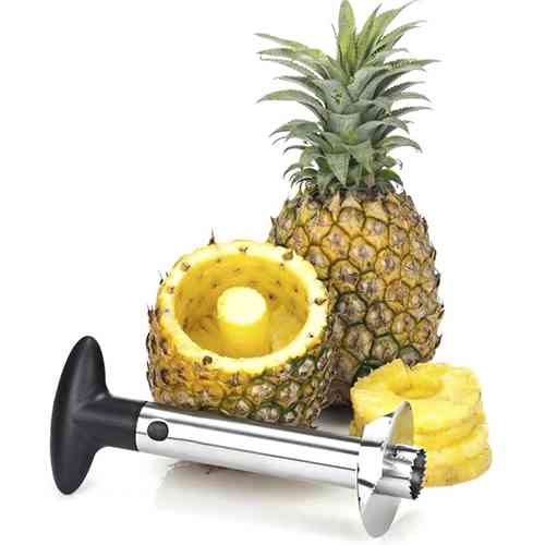 Pineapple Slicer