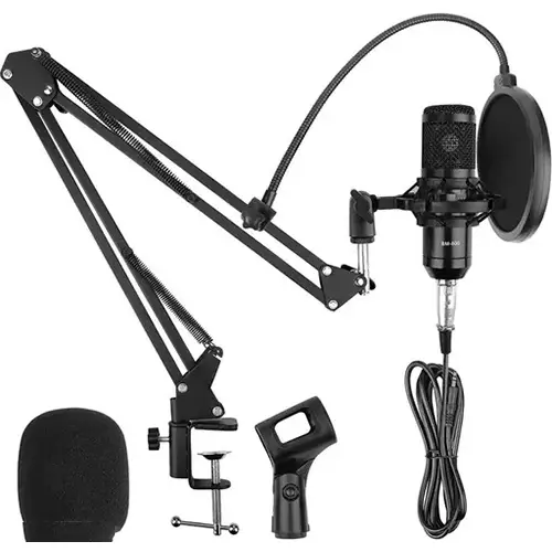 Professional Recording Condenser Microphone
